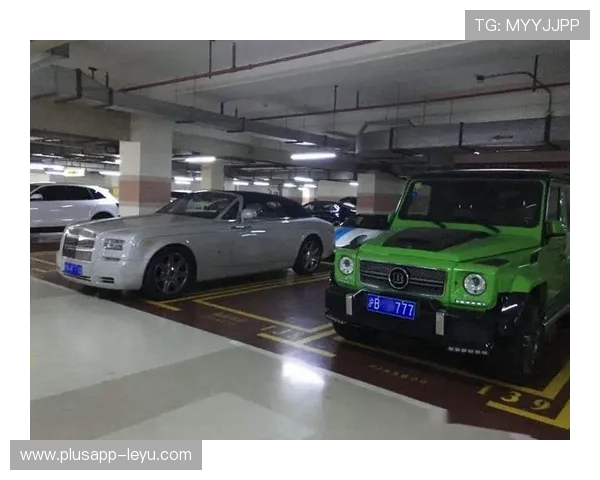 柳雅慧又换新豪车了？普通人梦都不敢做的车库小秘密曝光！