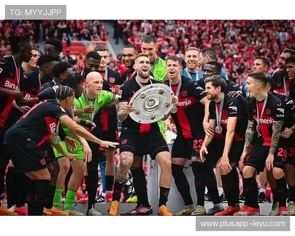 维尔茨德甲不败夺冠核心：生涯巅峰时刻解析